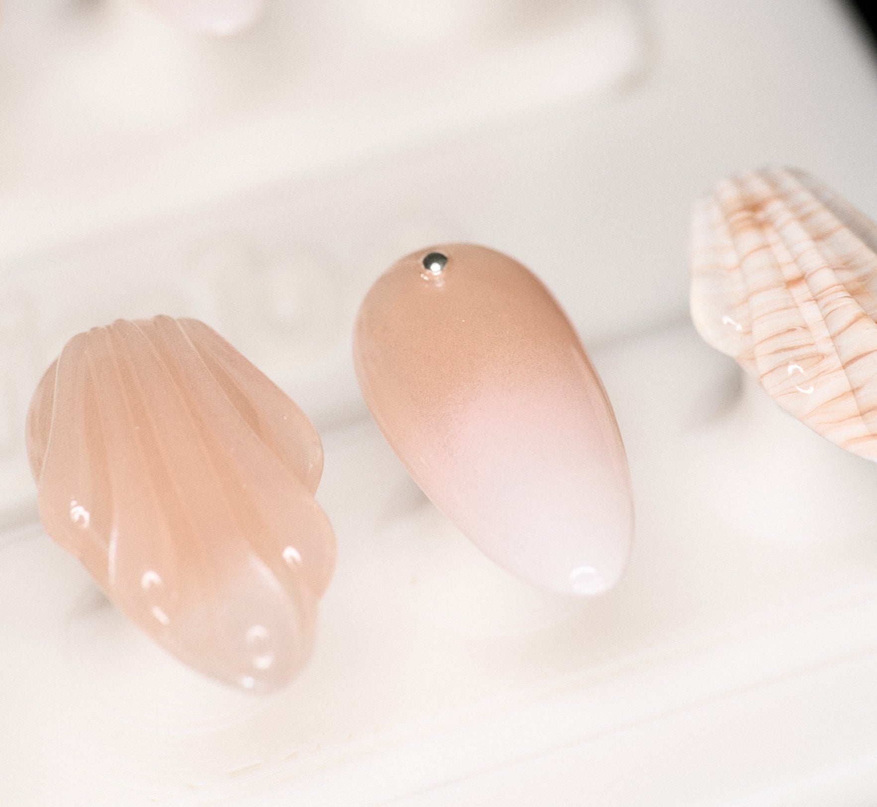 Seashell Bloom